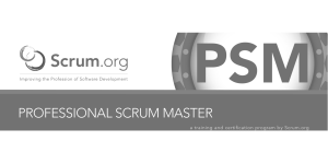 Professional Scrum Master